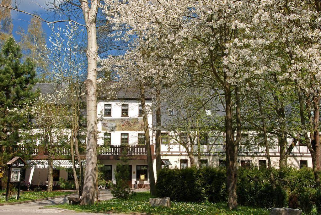 Waldgasthof & Hotel Am Sauwald Tannenberg Exterior foto